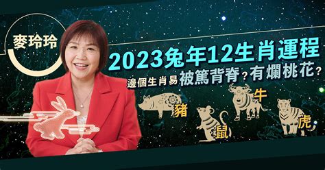 麥玲玲2023|麥玲玲2023風水佈局｜正東方病位須化解！如個催旺 